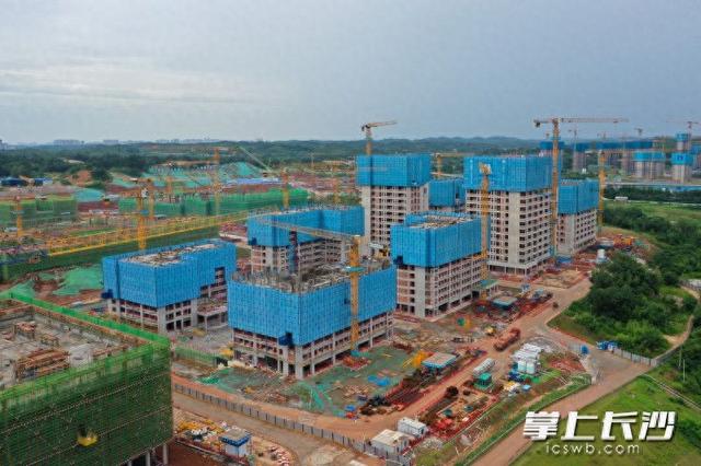“智慧大脑”上线！湖大科创港校区构建智能建造3.0应用场景