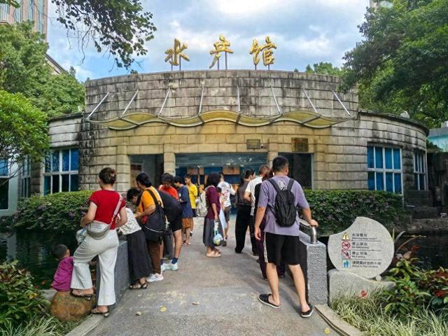 74年历史的广州文化公园水产馆焕新开放！