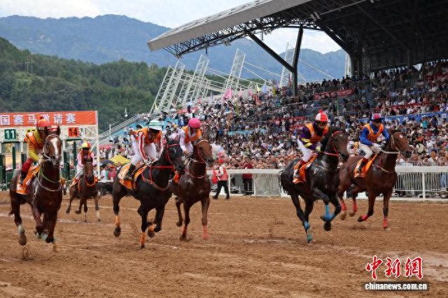 中国唯一水族自治县：“贵州村马”赛出旅游产业新天地