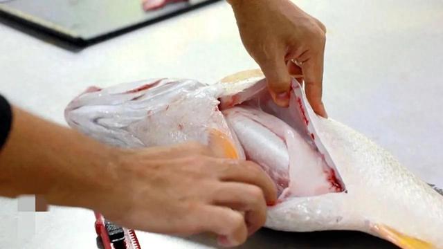 40头黄花胶多少钱一斤 2025年45头黄花胶一斤有多少