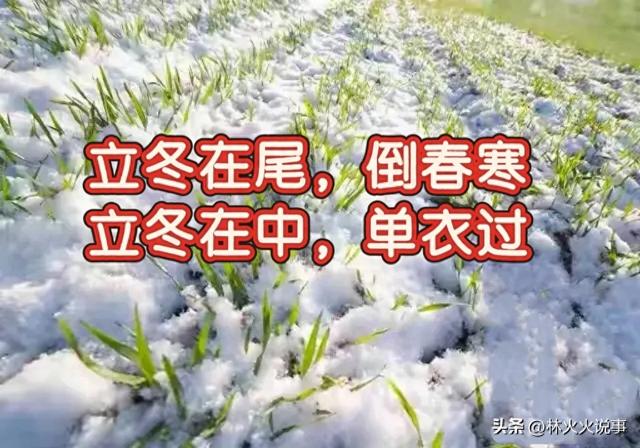 “ 立冬在尾，倒春寒；立冬在中，单衣过”，今年立冬在头还是尾？