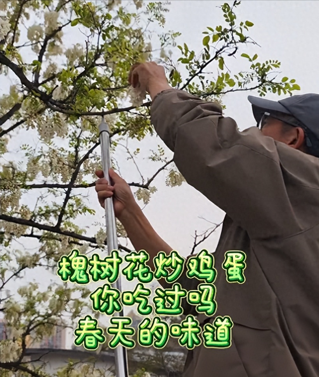 俞敏洪新疆旅行，大早上喝“上马酒”，还跟美女老板一起走秀