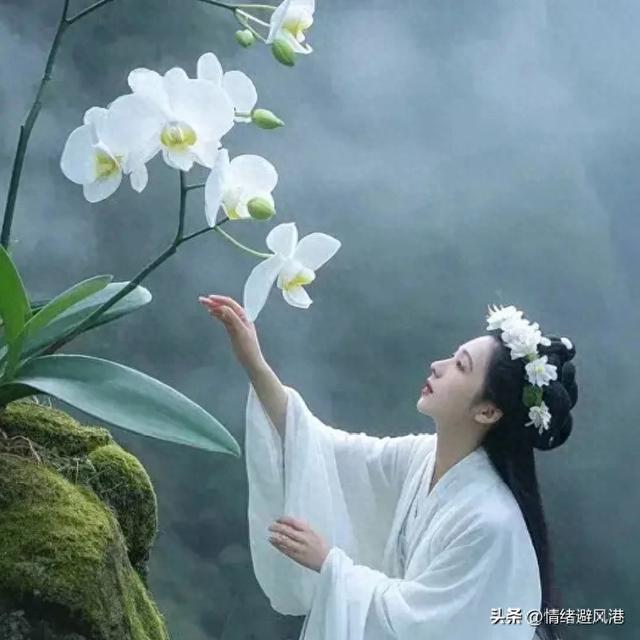 人的一生，有五样东西早已命中注定，一切顺其自然就好。