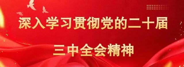 巾帼微宣讲｜各民族共同创造了灿烂的中华文化