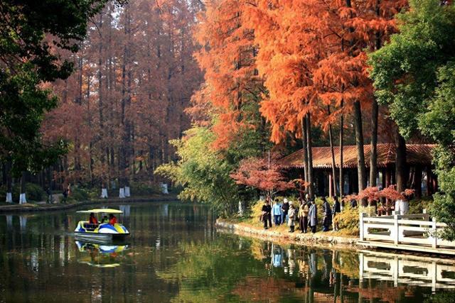 京广高铁畔的青山公园，宛若一幅浓墨重彩油画