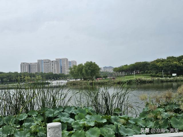 梅湖，散步休闲的去处，露营聊天的基地，人生得意须尽欢！