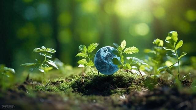 地球生命的隐秘建筑师：真菌的十亿年统治早于植物并使地球宜居