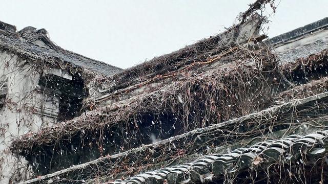 大寒遇初雪，苏州平江路银装引客来