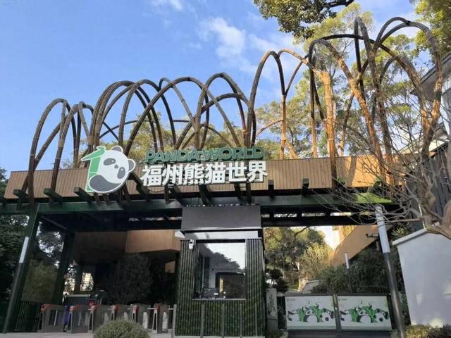 福州熊猫世界，开园时间定了！