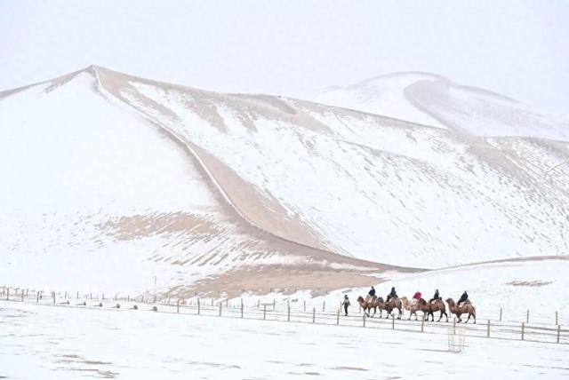 图说中国|雪落千山，解锁各地初冬诗意