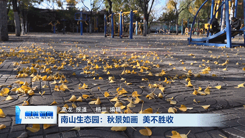 柳林南山生态园：秋景如画 美不胜收