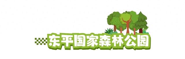 体荟四季｜逃离40℃！这几处“清凉秘境”真的绝了！