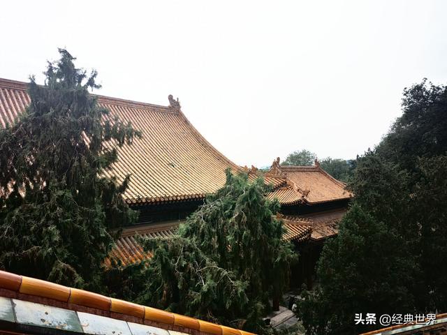 颐和园之四——佛香阁、排云殿和德和园
