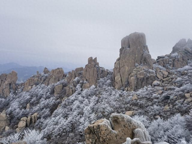 雾凇缀崂山