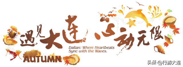 双节奔赴大连，解锁五大绝佳游玩秘籍