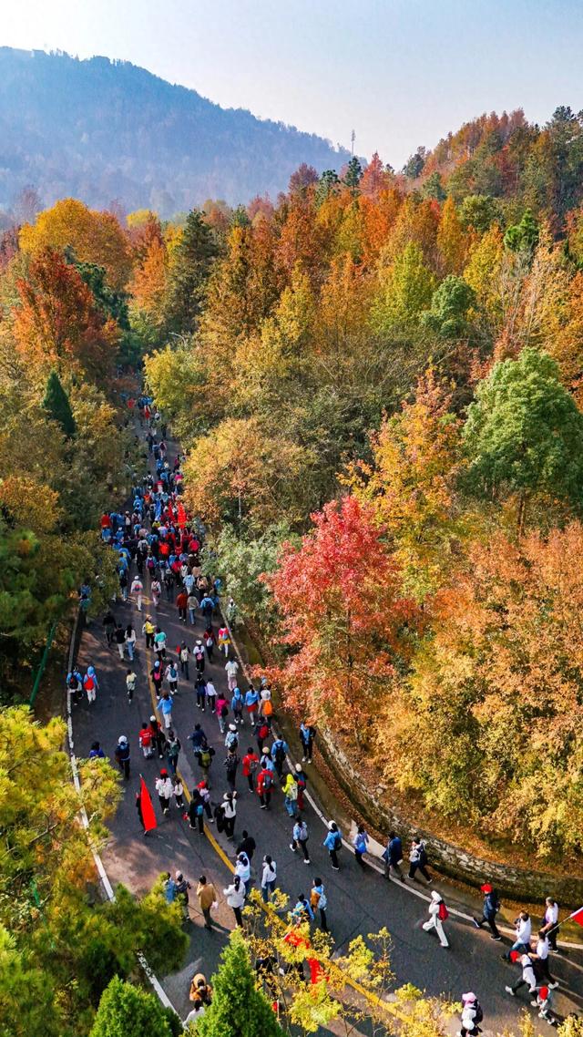 最低跌至-1℃!黄陂今晚寒潮来袭