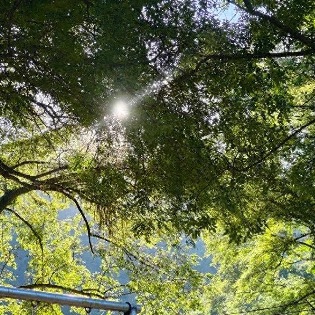 阳际峰溪畔·‘朗坊小院’您的山水避世桃源