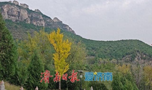 铁轨织就的通明山秋意