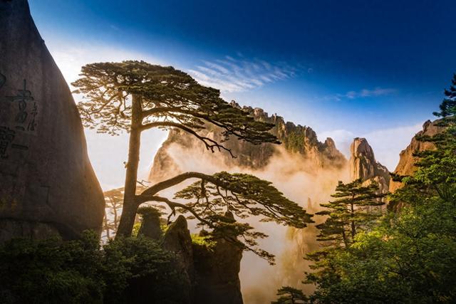 秋假专属！黄山七大景区对杭州未成年人免票