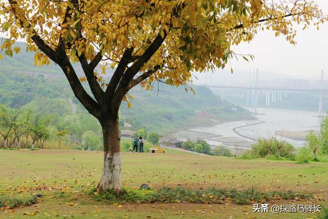 重庆自己的海岸线徒步，礼嘉-悦来，老少皆宜，公交直达（攻略）