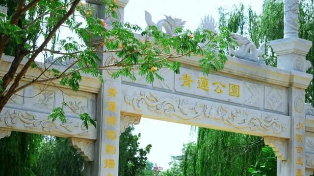 再不打卡济宁青莲公园，就要错过这 100% 出片的避暑美景啦