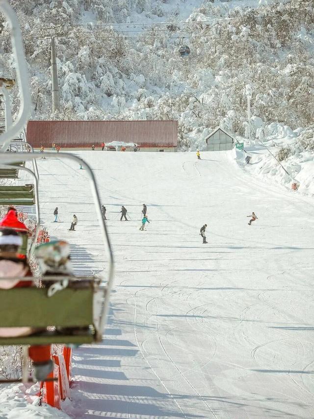 免票福利来袭，这个寒假西岭雪山放大招了！
