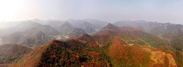 南漳：初冬“调色盘”已上线！古林坪红叶进入最佳观赏期，快来打卡！