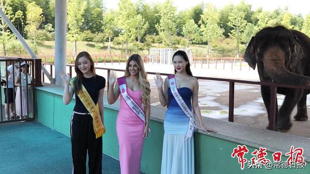 美女与野兽——世界旅游小姐常野游