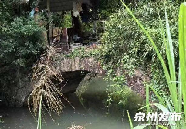 助力申遗！泉州发现多条“万里茶道”相关线索