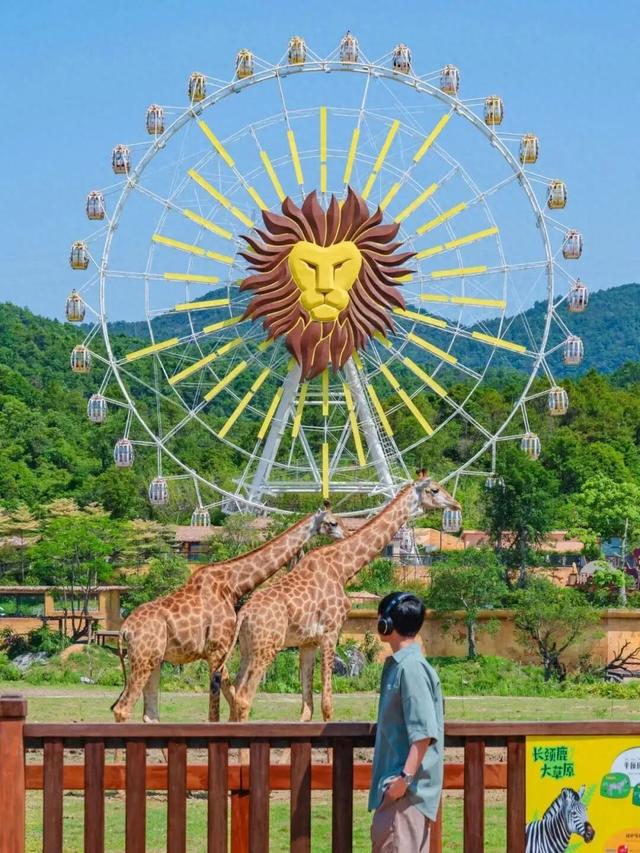 清城不远 · 十一首选｜来龙塘，“一站式”玩个够！
