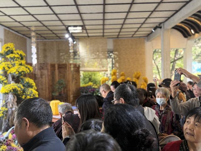 杭城“秋日顶流”菊展人气爆棚，植物园听劝：马上加厕所，必要时限流