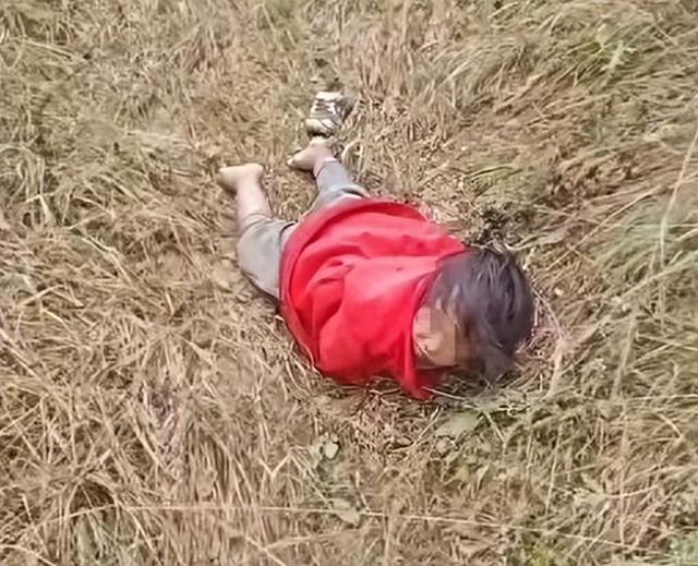 辽宁4岁女童走失后续！院内监控流出，网友炸锅：难怪能跑3公里
