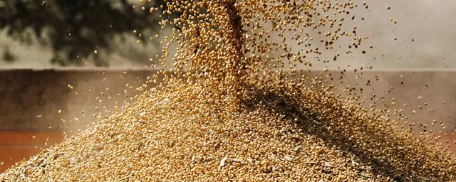 不是妥协是布局! 中国恢复美大豆原木进口, 揭开十五五首张战略底牌