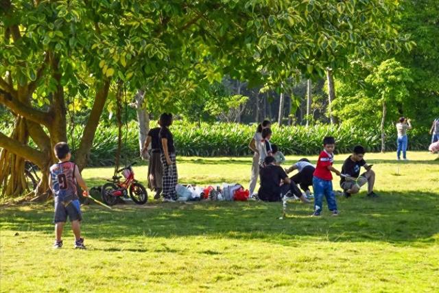 河南大反转！许昌杀出重围，郑州洛阳都没预判，凭什么火遍全国？