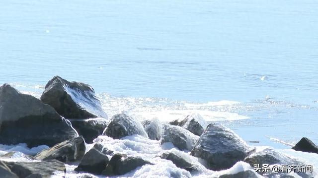 鹤城这里“摇身一变”，太惊艳！