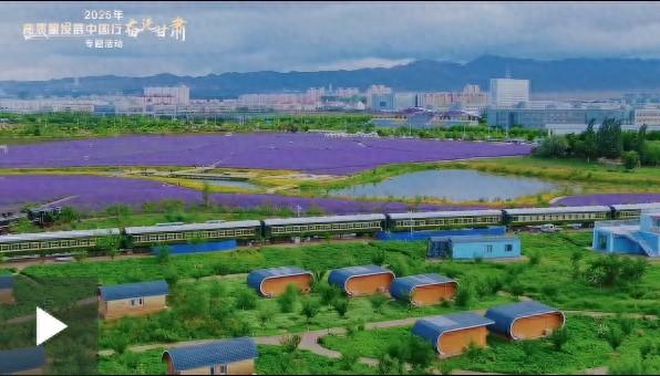 【甘快看】高质量发展甘肃行｜甘肃金昌紫金花海：文旅融合新引擎，工业城市新风貌
