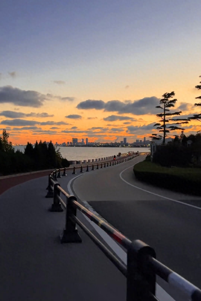 反复爱上日照的理由，藏在碧海路的橘子海里！