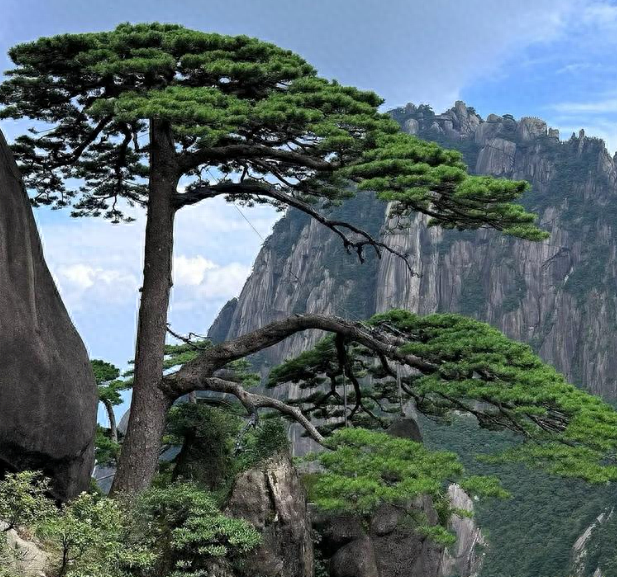 为何美国的景点大都不收费，我国景区却要收费？