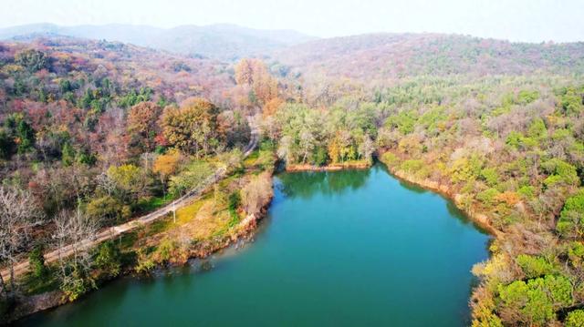 全屏“封神”!这可是全椒初冬的超绝顶流!