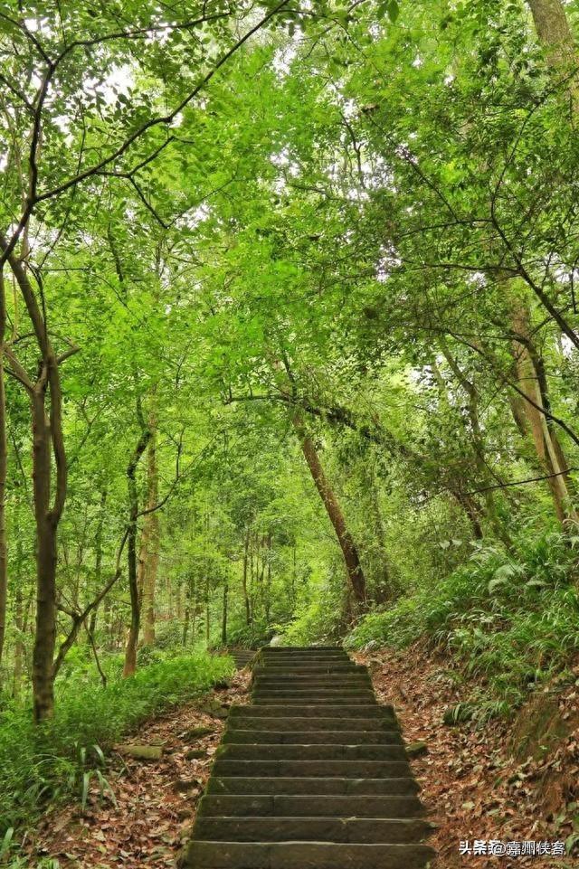 重庆私藏！10公里穿越千年古道