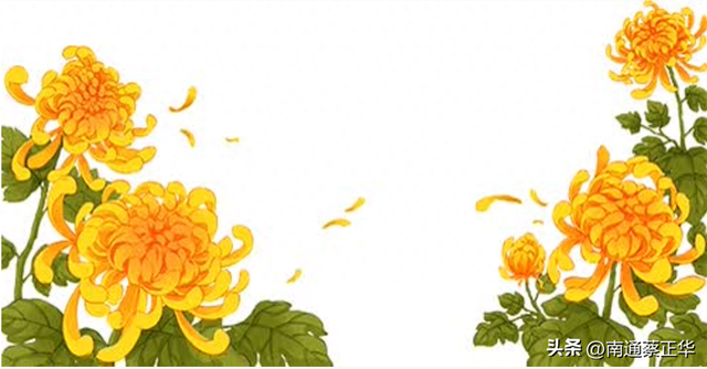 余香赠市民 南通唐闸北市景区喊你免费领花