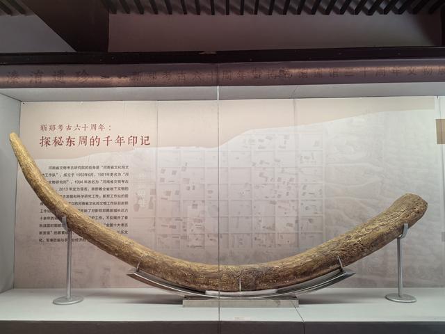 蜗牛日记（新郑往事）