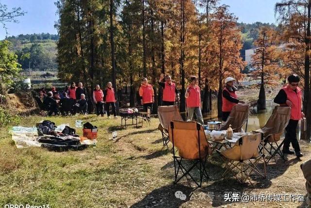 最美水杉林里志愿红