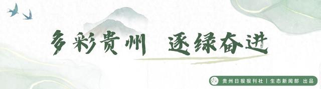 【绿色发展】凉都民宿火  “夏日村民”涌——六盘水三岔河畔避暑游客一床难求