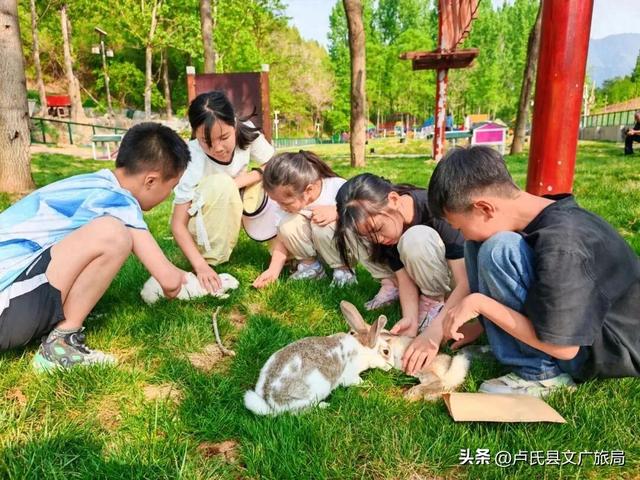 【国庆游卢氏】国庆来豫西大峡谷，萌宠潮玩+丰收晒秋，19元门票开启狂欢嘉年华！