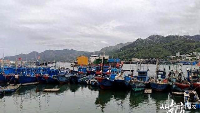 滚动 汕头台风预警再次升级，南澳大桥将采取相应管制措施