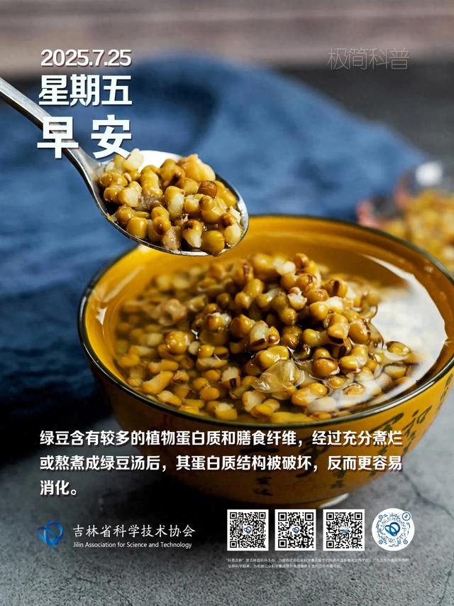 极简科普丨绿豆煮成汤后，大部分蛋白质和不易消化的膳食纤维留在了绿豆里，几乎不会给消化系统带来消化负担