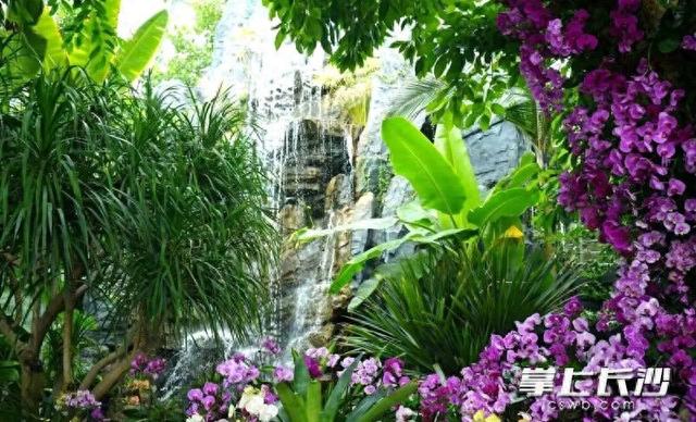 省植物园天际苑免费向教师开放，明天最后一天