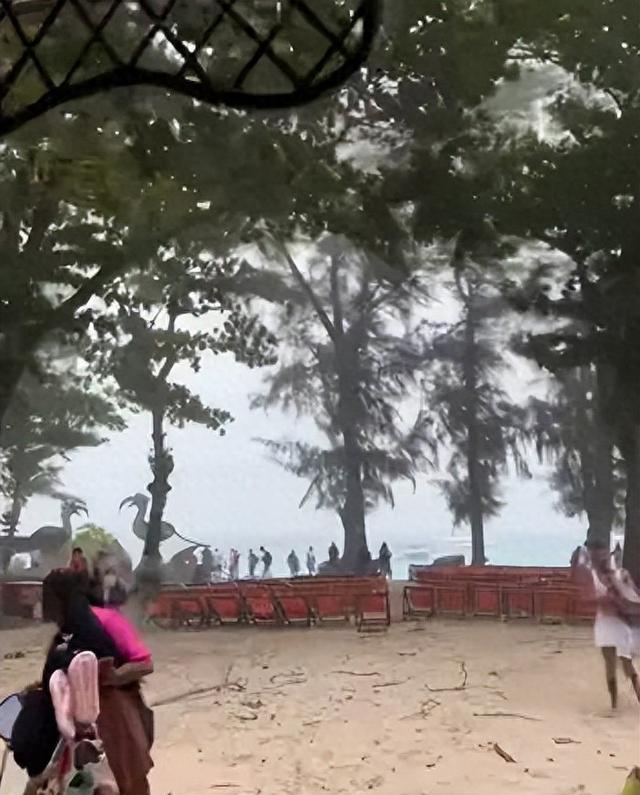 中国女游客泰国游玩被树砸倒不幸去世，女儿：特意安排的退休旅行，想让妈妈完整回家