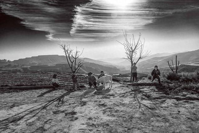 西海固：汗土上的新生